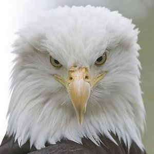 Meet your Posher, Sandy